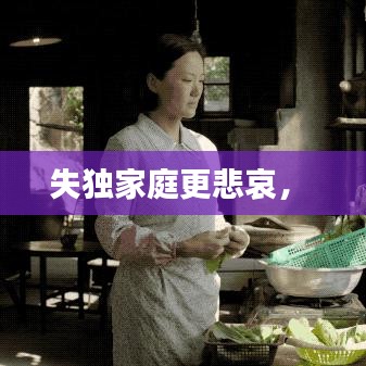 失独家庭更悲哀， 