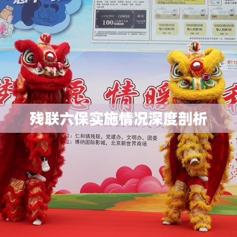 残联六保实施情况深度剖析