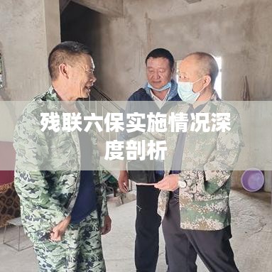 残联六保实施情况深度剖析