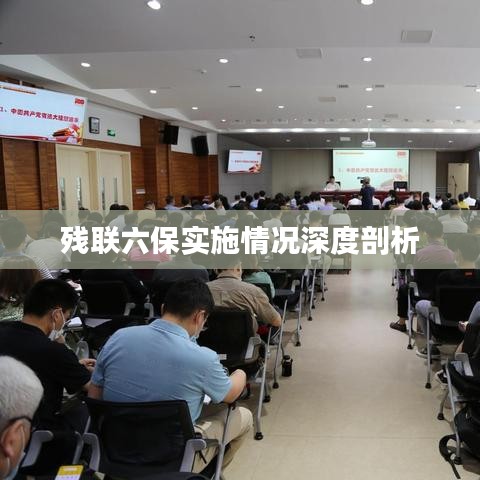 残联六保实施情况深度剖析