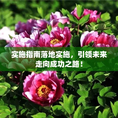 实施指南落地实施，引领未来走向成功之路！