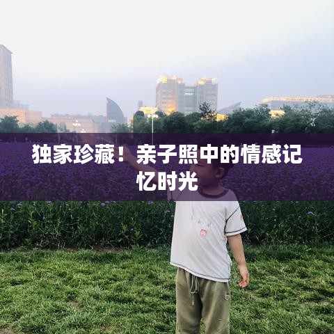 独家珍藏！亲子照中的情感记忆时光