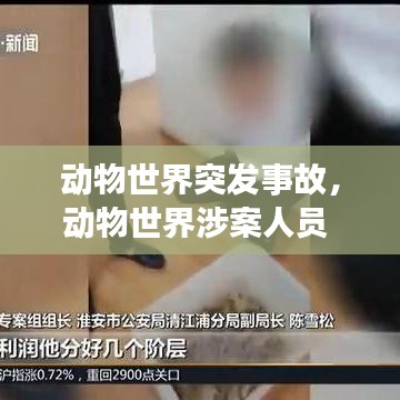 动物世界突发事故，动物世界涉案人员 