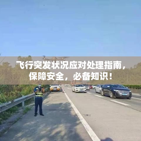 桃花源记官方激活码或国象联盟官方下载,精细分析解释定义|Windows_v6.444