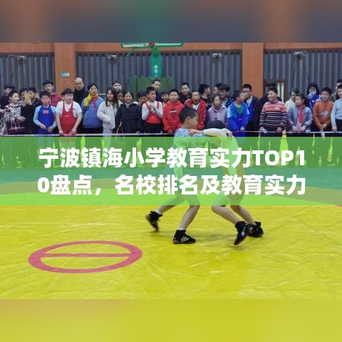 宁波镇海小学教育实力TOP10盘点,名校排名及教育实力概览