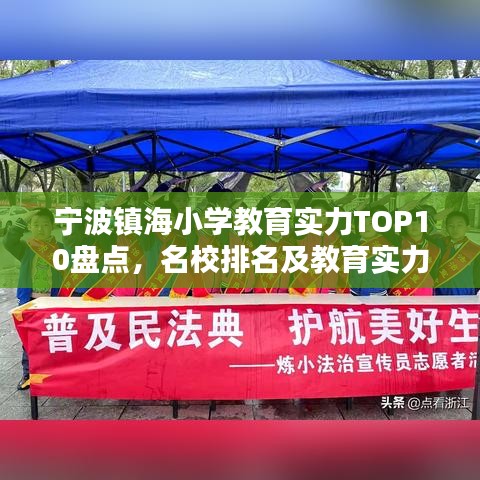 宁波镇海小学教育实力TOP10盘点,名校排名及教育实力概览