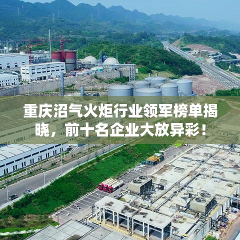 重庆沼气火炬行业领军榜单揭晓，前十名企业大放异彩！