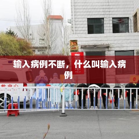 输入病例不断，什么叫输入病例 
