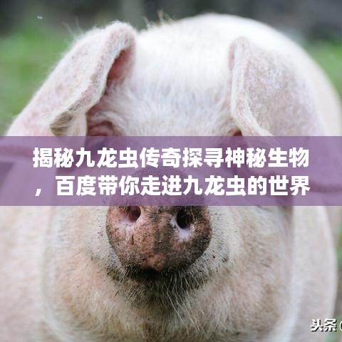 揭秘九龙虫传奇探寻神秘生物，百度带你走进九龙虫的世界！