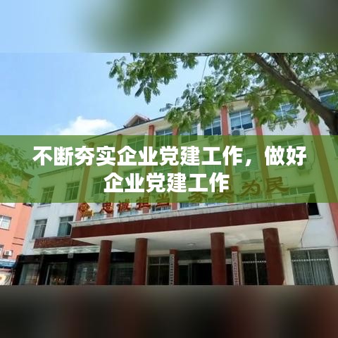 不断夯实企业党建工作，做好企业党建工作 