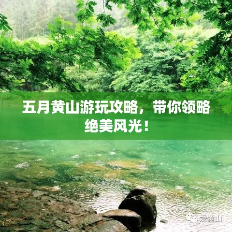 五月黄山游玩攻略，带你领略绝美风光！