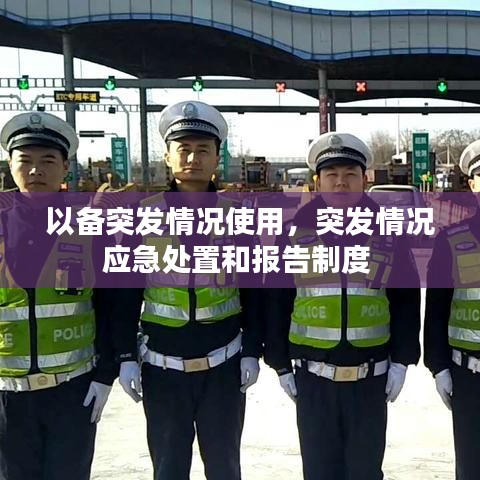 以备突发情况使用，突发情况应急处置和报告制度 