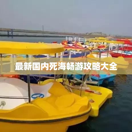 最新国内死海畅游攻略大全