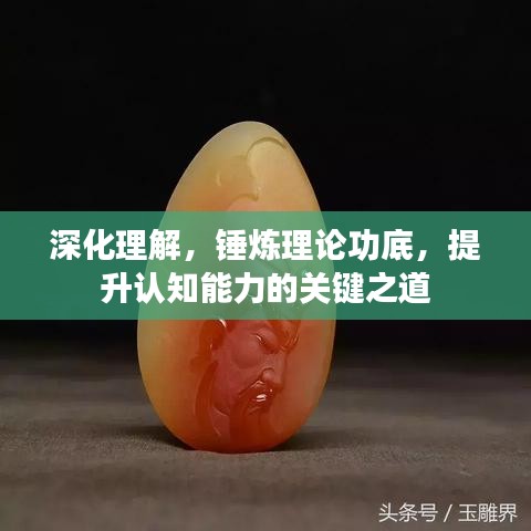 深化理解，锤炼理论功底，提升认知能力的关键之道