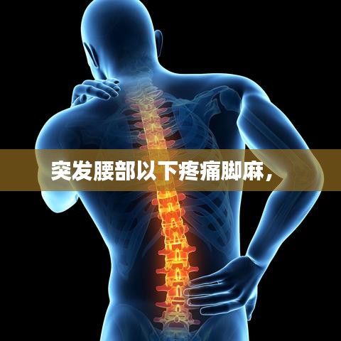 突发腰部以下疼痛脚麻， 