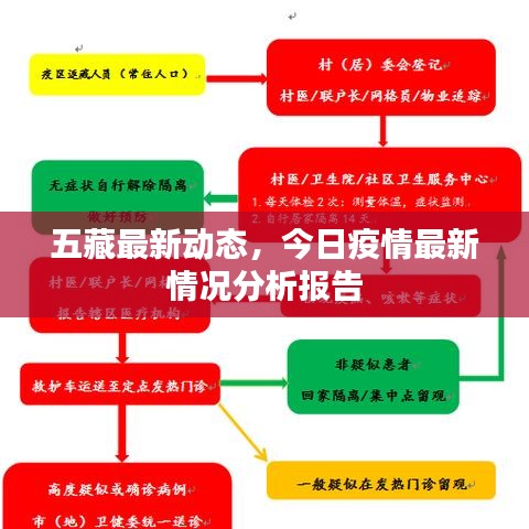 五藏最新动态，今日疫情最新情况分析报告