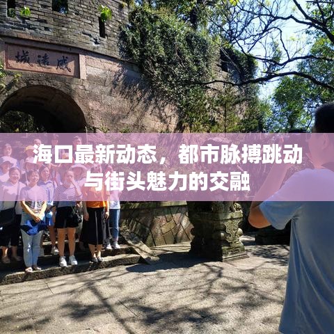 海口最新动态，都市脉搏跳动与街头魅力的交融