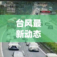 台风最新动态，今日路线更新报告