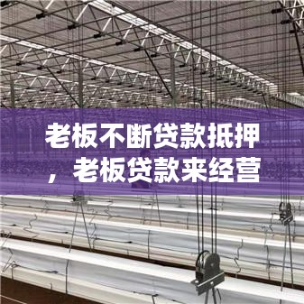 老板不断贷款抵押,老板贷款来经营公司怎么办