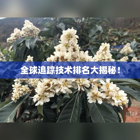 全球追踪技术排名大揭秘!