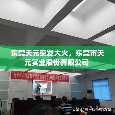 东莞天元突发大火,东莞市天元实业股份有限公司