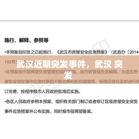 武汉近期突发事件，武汉 突发 