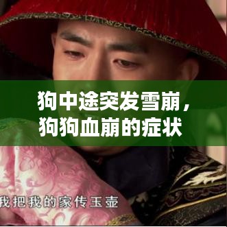 束装就道 第6页