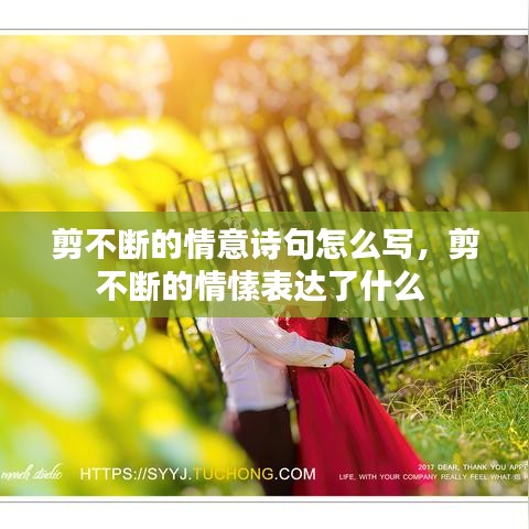 剪不断的情意诗句怎么写,剪不断的情愫表达了什么