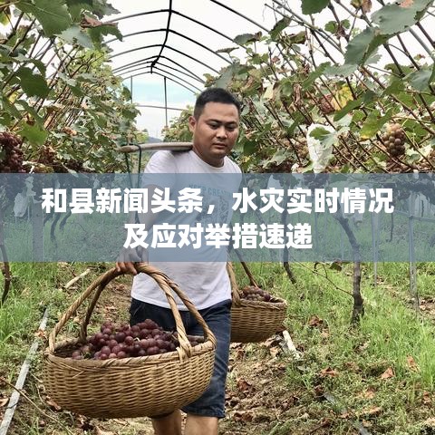 和县新闻头条,水灾实时情况及应对举措速递