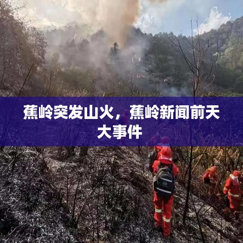 蕉岭突发山火，蕉岭新闻前天大事件 
