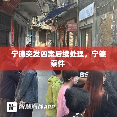 宁德突发凶案后续处理，宁德案件 