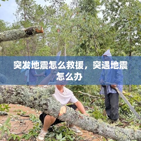 突发地震怎么救援,突遇地震怎么办