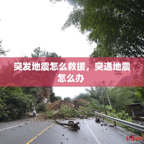 突发地震怎么救援,突遇地震怎么办