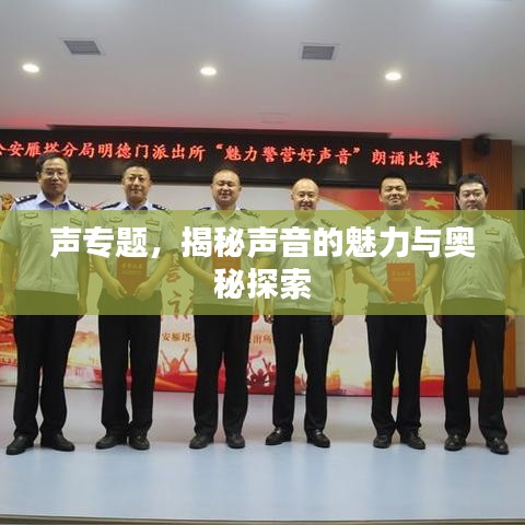 声专题，揭秘声音的魅力与奥秘探索