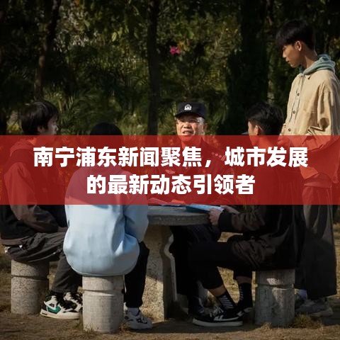 南宁浦东新闻聚焦，城市发展的最新动态引领者