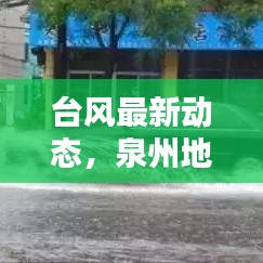 台风最新动态,泉州地区台风来袭,实时消息关注!