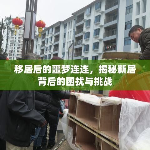 移居后的噩梦连连，揭秘新居背后的困扰与挑战