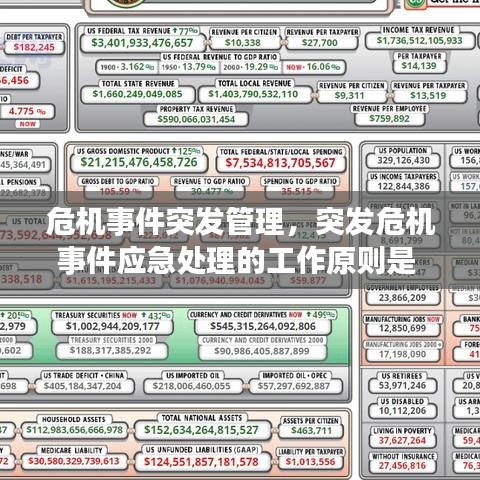 危机事件突发管理，突发危机事件应急处理的工作原则是 