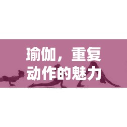瑜伽,重复动作的魅力与重要性解析