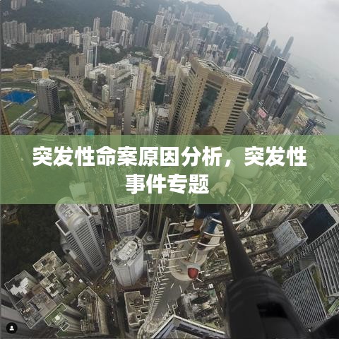 突发性命案原因分析，突发性事件专题 