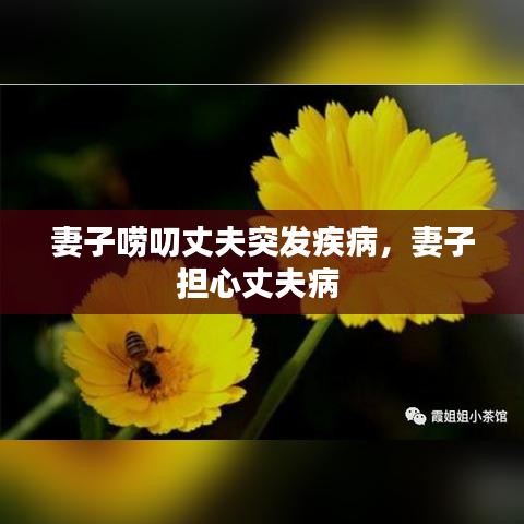 妻子唠叨丈夫突发疾病，妻子担心丈夫病 