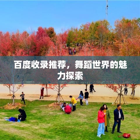 百度收录推荐,舞蹈世界的魅力探索