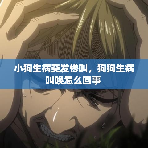 关于我们 第133页