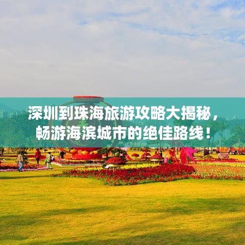 辣题库高级激活码同单机版的保卫萝卜,涵盖广泛的说明方法-DP_v6.465