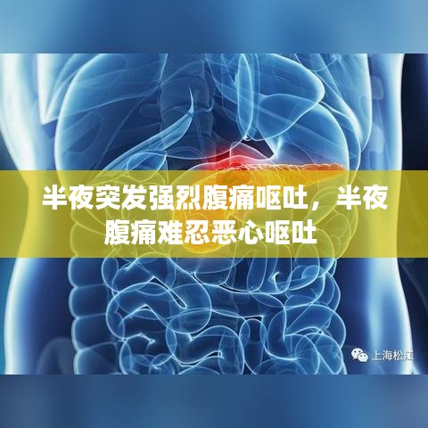 半夜突发强烈腹痛呕吐，半夜腹痛难忍恶心呕吐 