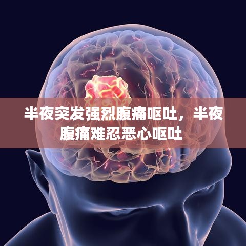 半夜突发强烈腹痛呕吐,半夜腹痛难忍恶心呕吐