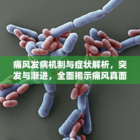 痛风发病机制与症状解析，突发与渐进，全面揭示痛风真面目！