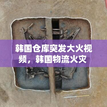 韩国仓库突发大火视频，韩国物流火灾 