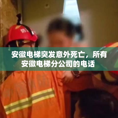安徽电梯突发意外死亡,所有安徽电梯分公司的电话