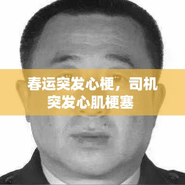 沙发手机管家官方下载，专业版v6.405的全面解析与免费替代品对比